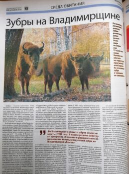 Владимирские ведомости, газета. Статья