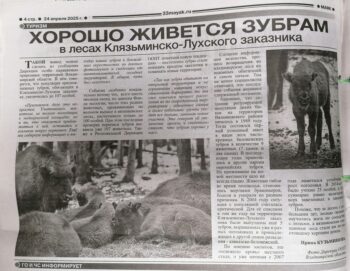 Гагета Маяк. Статья