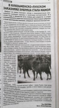 Газета Районка. Статья