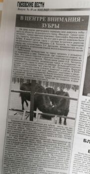 Гусевские вести, газета.