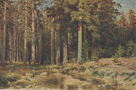 «Корабельная роща» (1898)