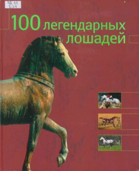 изображения четырех коней