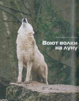 Воющий волк. Фото