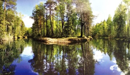 фотография лесной реки Кым в Кировской области